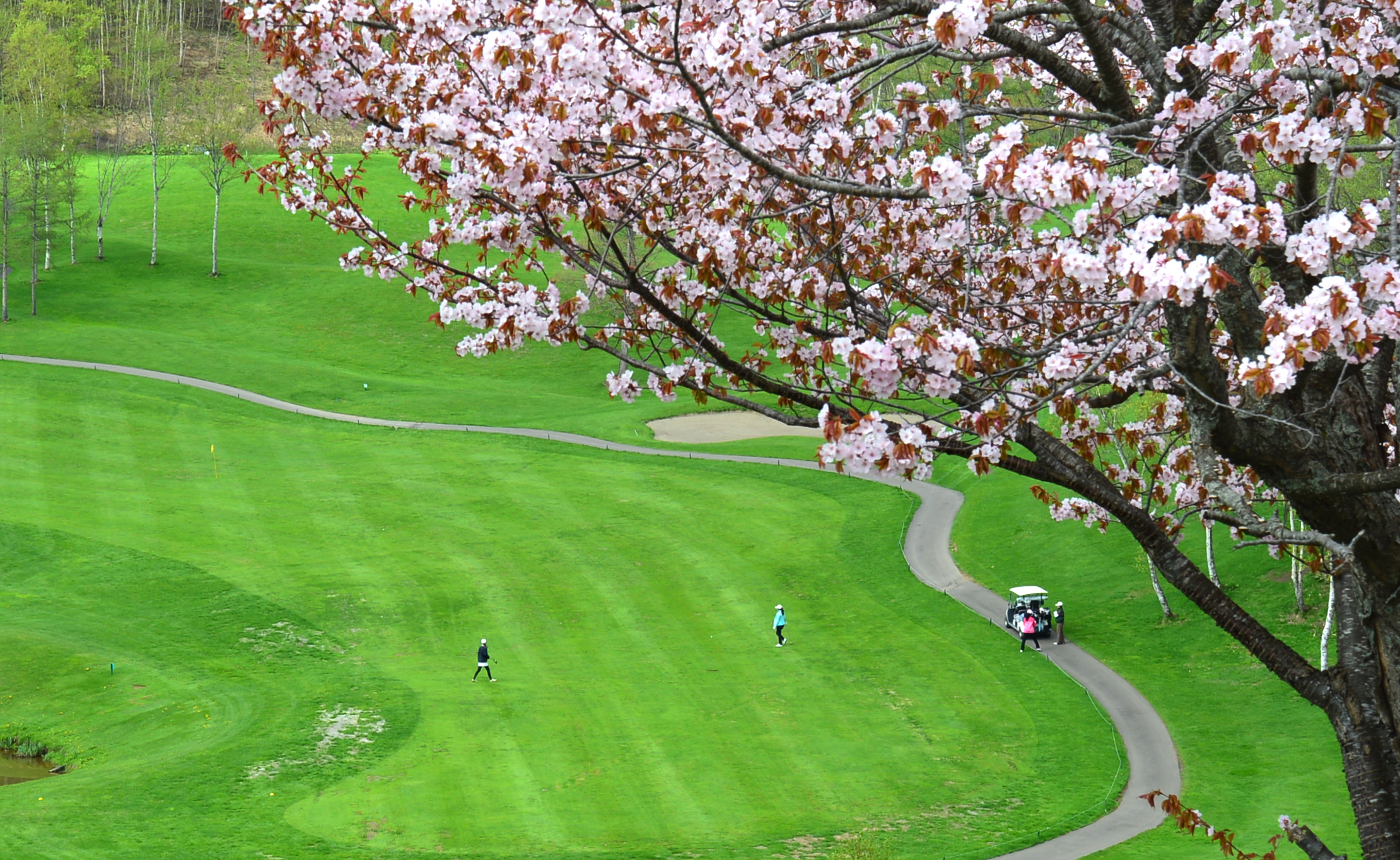 Golfing Getaway